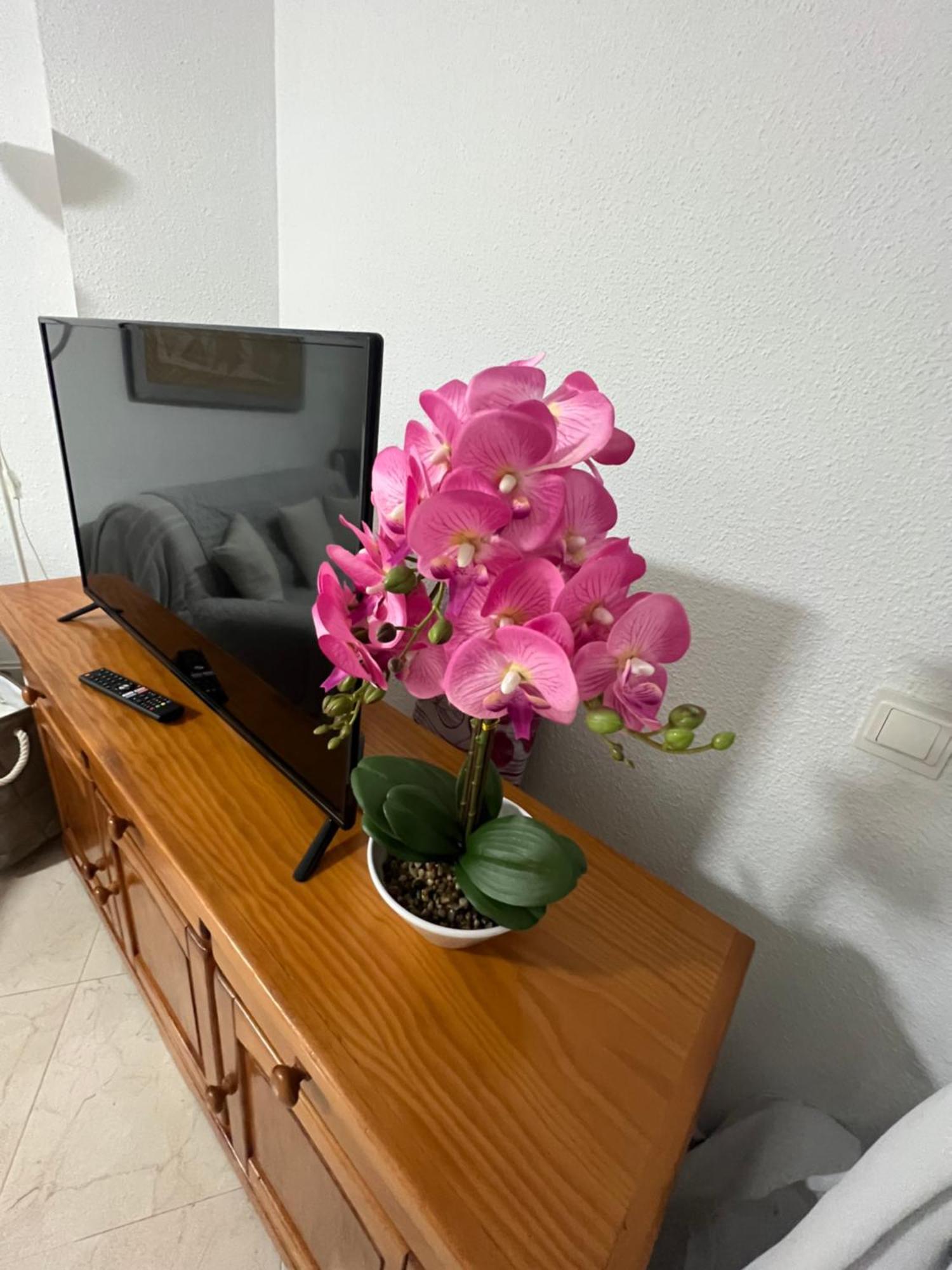 Estudio Mar En Calma, Primera Linea De Playa Con Vistas Al Mar Torrox Ngoại thất bức ảnh